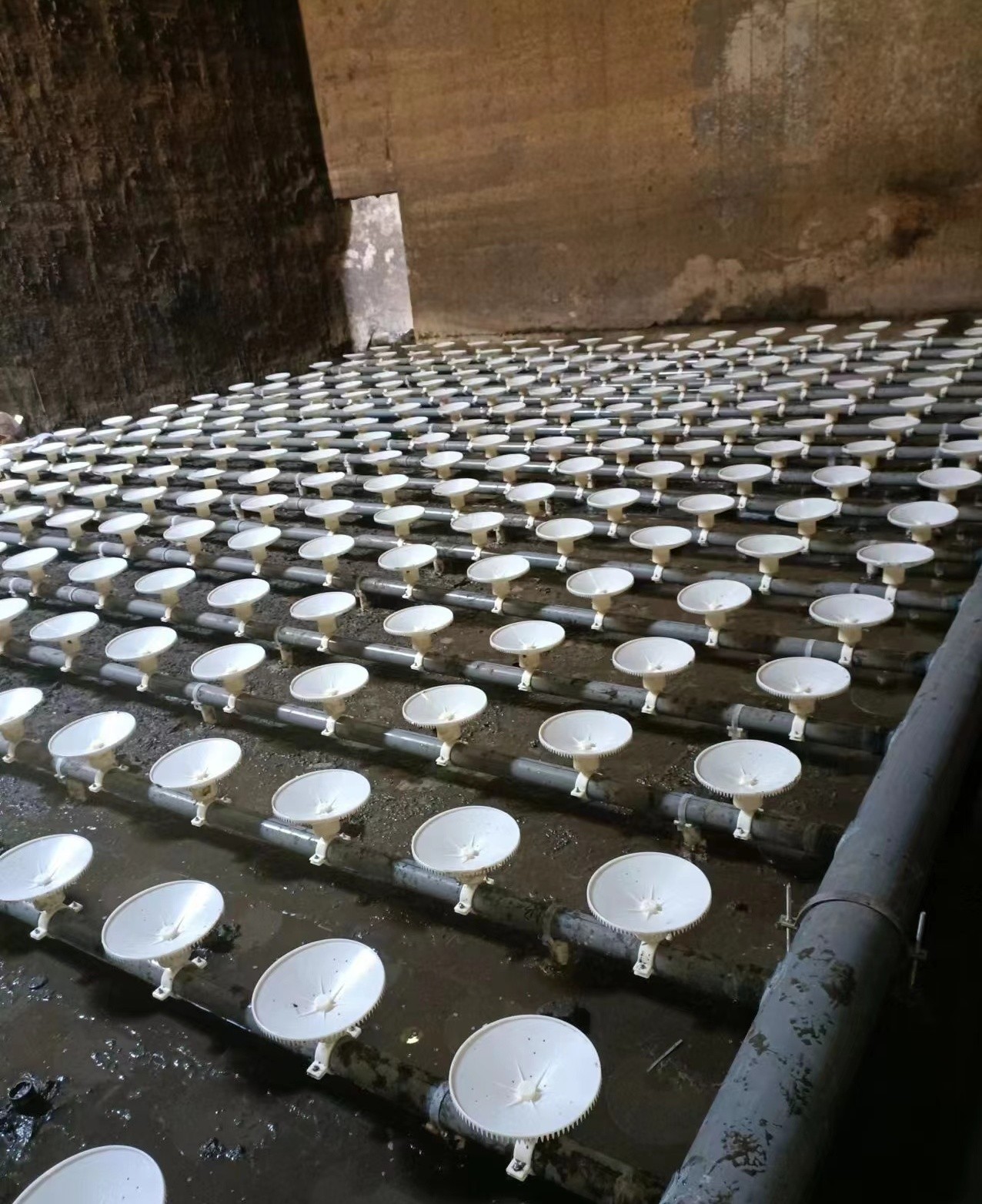 曝气器-可提升曝气器-微孔曝气器-江苏博海环境工程有限公司