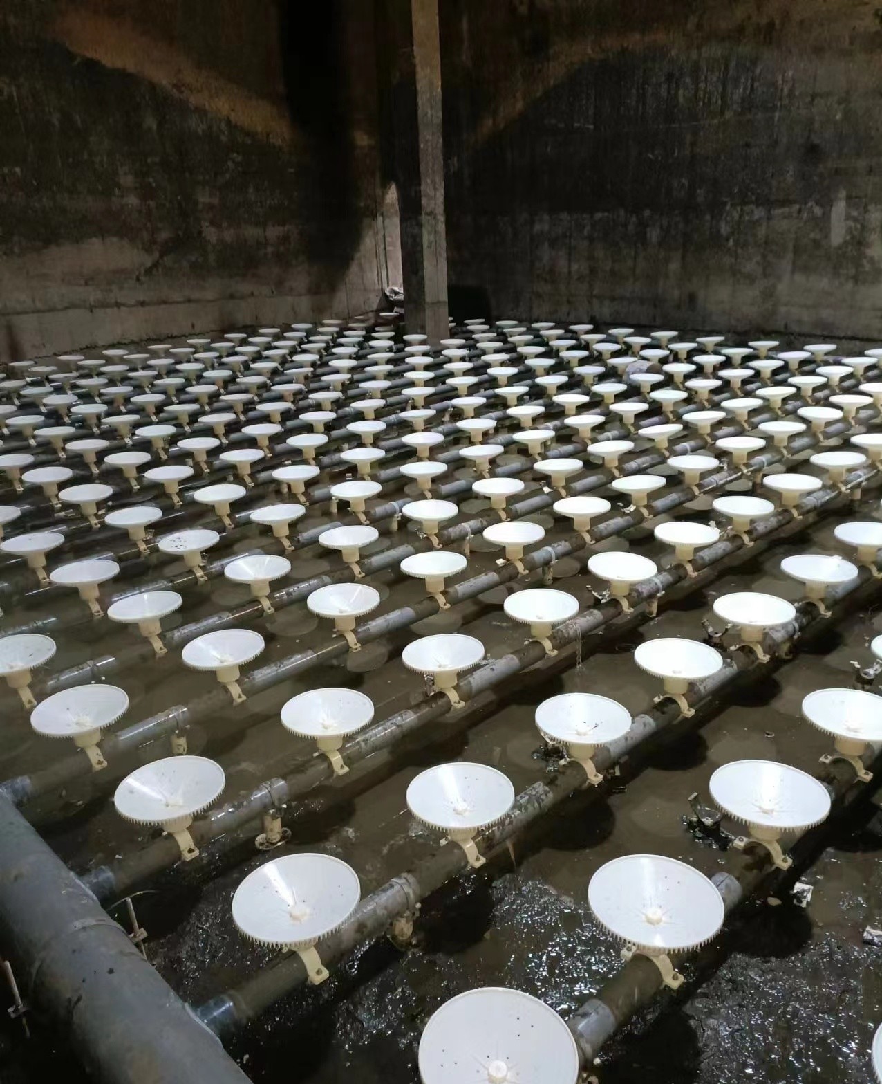 曝气器-可提升曝气器-微孔曝气器-江苏博海环境工程有限公司